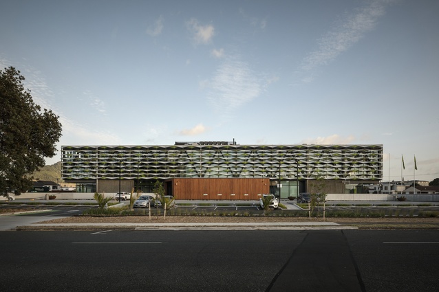 Winner – Commercial Architecture and Resene Colour Award: Zespri by Warren and Mahoney Architects and Architecture Page Henderson in association.