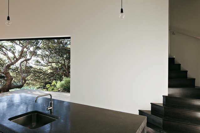In the kitchen, looking to the pohutukawa that inspired the house’s form.