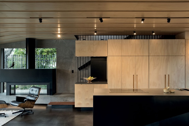Plywood carries through the entire house, providing a sense of coherence and connecting private and family areas.
