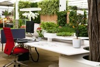 The global impact of biophilic design in the workplace