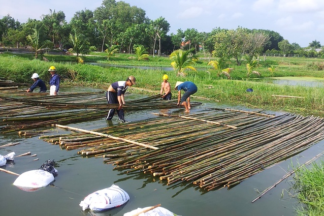 The preparation of the bamboo for construction, traditionally treated for two months in natural waterways followed by a further month’s treatment with smoke.