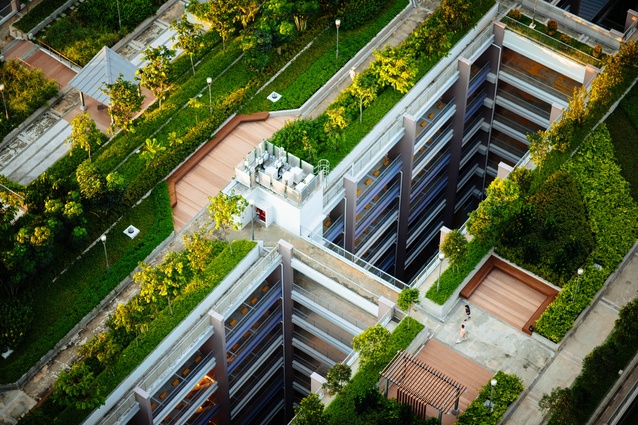Basel in Switzerland has incentivised green roofs since 1996, and in 2010 mandated that flat-roofed new, or retrofitted buildings, must incorporate a green roof.