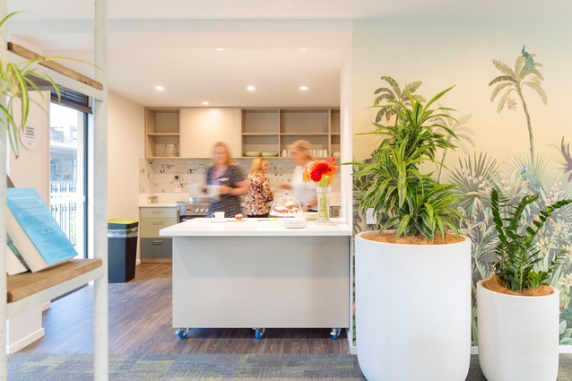 The ground floor offers essential amenities, including a reception area, offices, and adaptable communal spaces such as a community kitchen. Residents also benefit from outdoor living areas and accessible parking facilities.