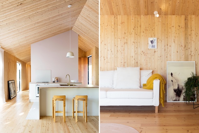 Winner: Resene Colour in Design Award – A Cabin & Trees by Red Architecture.