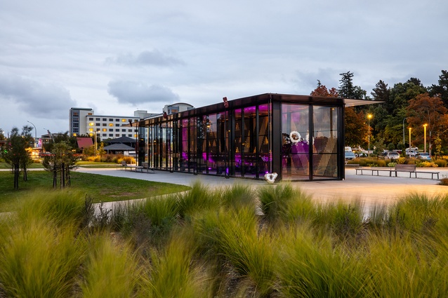 Whare Waka by DCA Architects, winner of the 2024 National Award for Architectural Spaces and Structures.