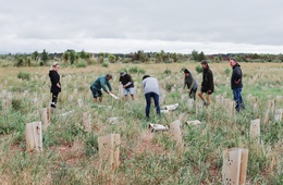 Saving Wairarapa Moana Wetlands