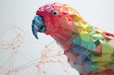 Design like a parrot