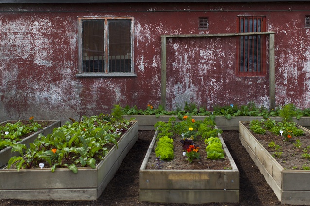 Hallertau's vegetable garden for the freshest produce available.
