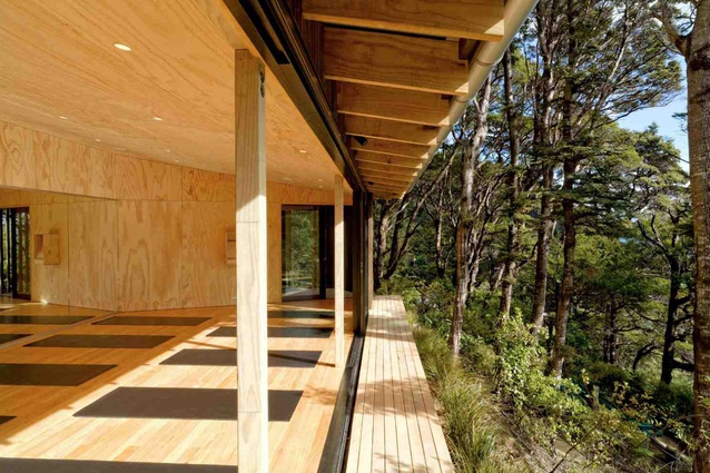 The plywood-lined studio opens out to a sensational view out over the treetops. 