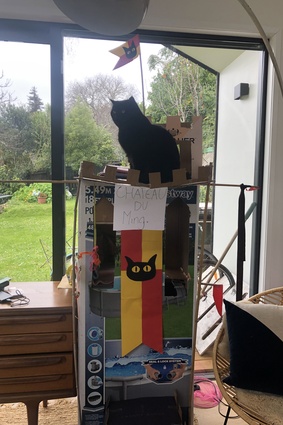 Finalist: Beckett (age 14) and Izzy (age 11) – The house is for "Ming the cat – this is her castle for her to survey her domain". Made from cardboard and tape.