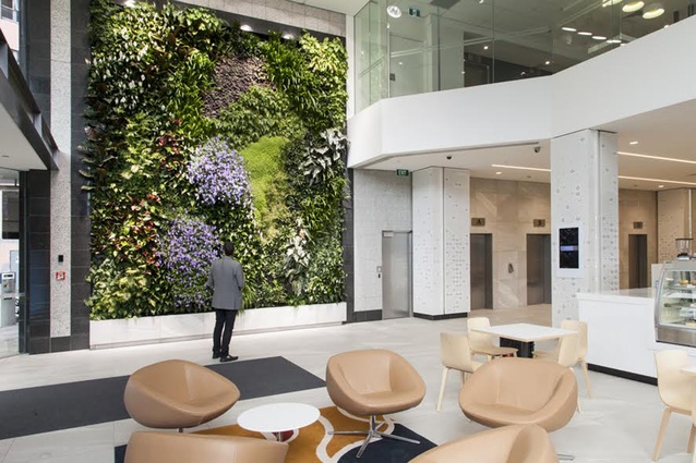 22 Fanshawe St, Auckland. An internal atrium green wall that was installed in 2015, it stands 7 metres tall x 6.5 metres wide and brings nature into the workplace.