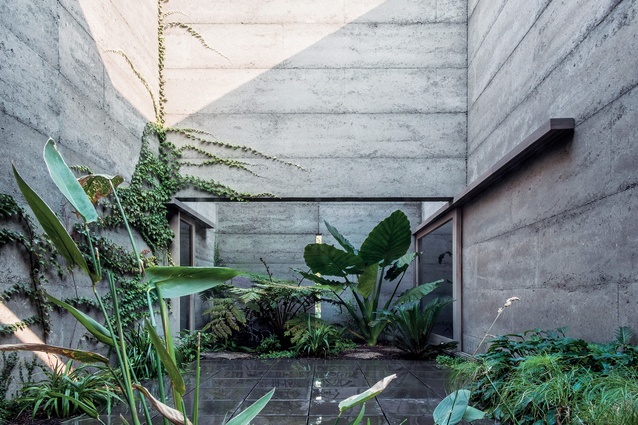 The house forms a habitable perimeter around a lush garden courtyard, which offers both openness and privacy.