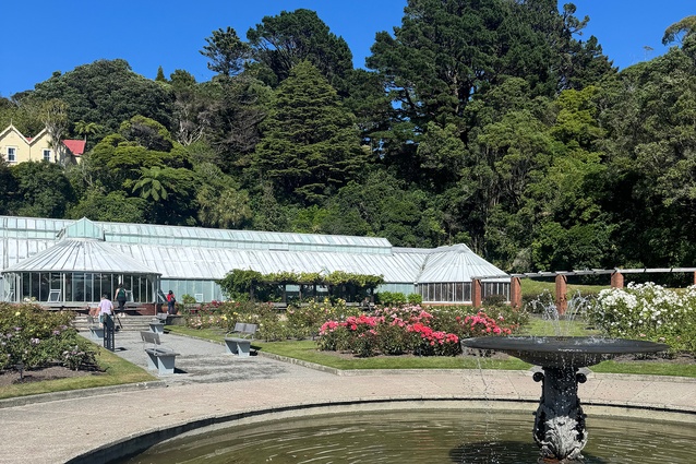 Begonia House in the Wellington Botanic Garden.