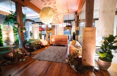 Ideas from the Inaugural Aotearoa Biophilic Event