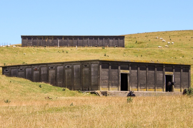 Ammunition storage bunkers in Belmont Regional Park, Wellington, part of a district council heritage inventory review that Alex led.