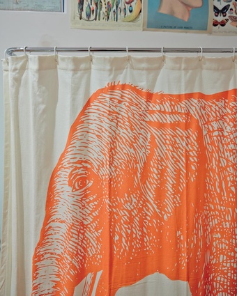 Elephant shower curtain: "This was purchased from Kleins Perfumery, a great little shop on Brunswick Street. It gave the bathroom much-need life and it makes me very happy".