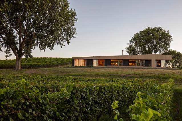 Winner - Housing: Black Beech House by Bonnifait + Associates Architects.