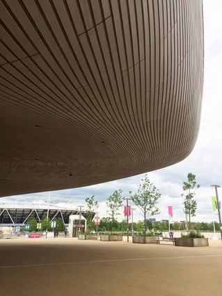The curvaceous ceiling of the London Aquatics Centre by Zaha Hadid Architects.