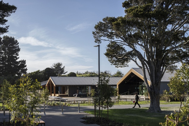 The relaxed informality of the wānanga grounds blends and softens the built hard edges.