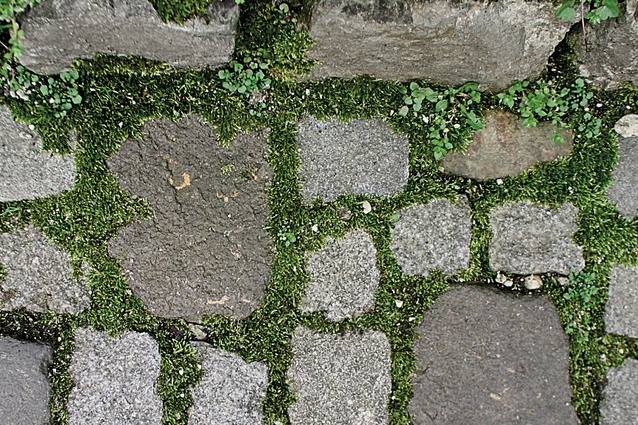 A detail of a moss-covered stone path.