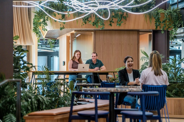 B:HIVE+, Auckland: Diamond Award in the Atrium/Garden Plantings, Interior categories.
