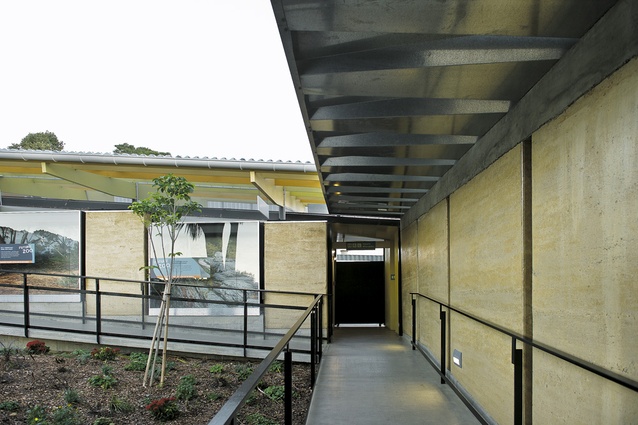 Between the tuckshop and marquee, an L-shaped ramp descends past the glass-fronted enclosures
of the Scaly Nursery. Excavated earth was reused for the rammed earth walls.