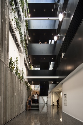 Commercial Architecture Award: 141 Cambridge Terrace/Lane Neave Building by Jasmax.