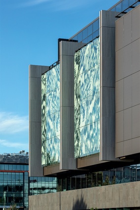 Artwork on the Durham Street glazing in the form of huia feathers, by Lonnie Hutchinson.