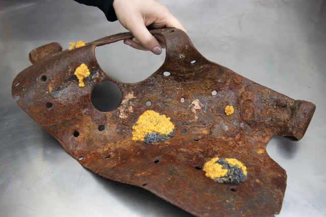 Susan Richardson won The Friends of The Dowse Fashion and Textile Award for <em>Molyneux Rediscovered, a found rusted object with knitted lichen</em>.
