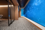 BNZ refurbishment project: Elevating spaces with wool carpet tiles