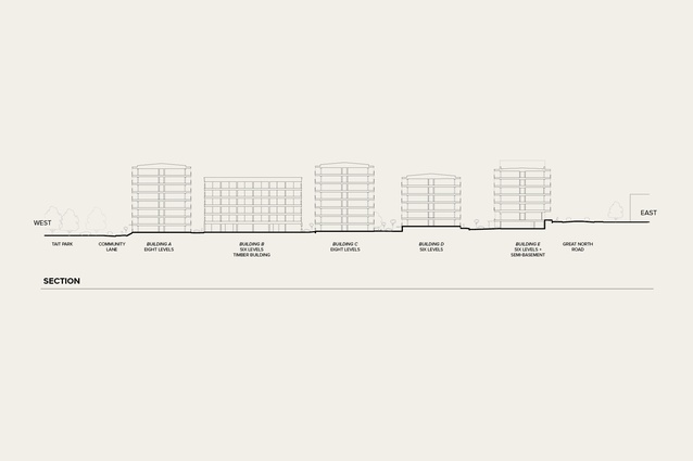 Section.