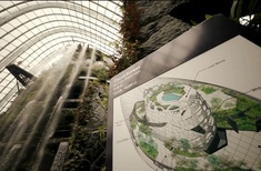Video tour of Gardens by the Bay