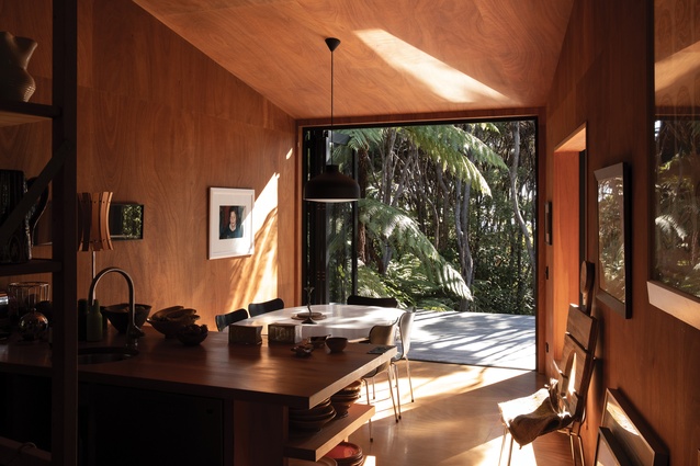 Connew Griffiths Karekare House: Openings and windows offer dappled light and intimate glimpses rather than expansive views.