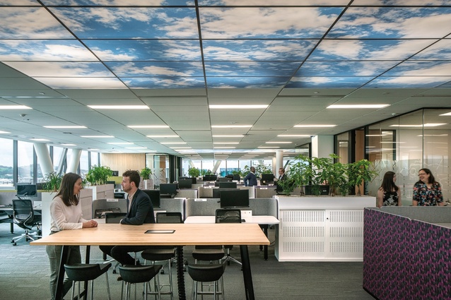 The carpet tiles used throughout the offices are from Interface.