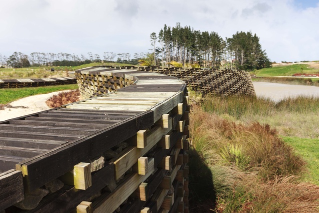 A tour followed the ‘woven’ timber crib retaining walls and pathways that meander through the new Kopupaka Reserve, designed by Isthmus Group.
