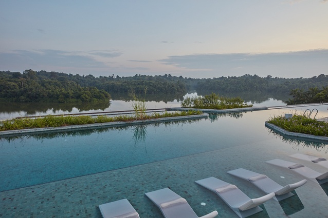 Mandai Rainforest Resort (Singapore) ― Architecture by WOW Architects