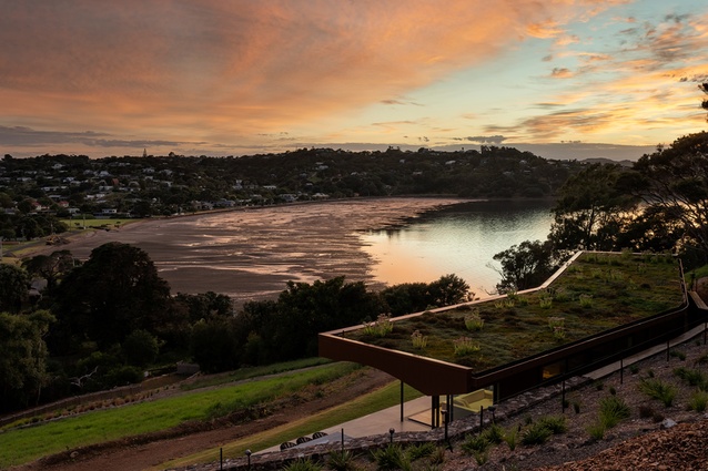 Sunrise over the living roof.