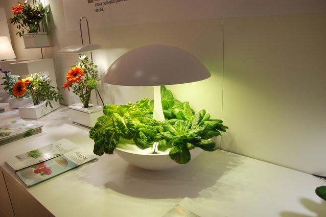 This futuristic looking salad grower does not require any soil but works with hydroponic lighting and fertiliser liquid inserted into the base onto a nylon sponge. 
