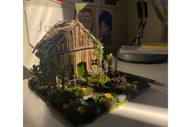 Finalist: Stella (21) – "After a beautiful walk through the bush at the start of this recent Covid lockdown, I decided to make a miniature home fit for a forest fairy. The idea is that it would be a beautiful place for them to isolate, they could go for a dip in their pool out front, or relax under the shade of their trees, or even have a lie down in their flax bed. I created it out of items I found around my house and real leaves, twigs, and moss from my neighbourhood."