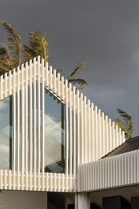 Vertical battens break up the façade and lend dynamism to the design of the extension. 