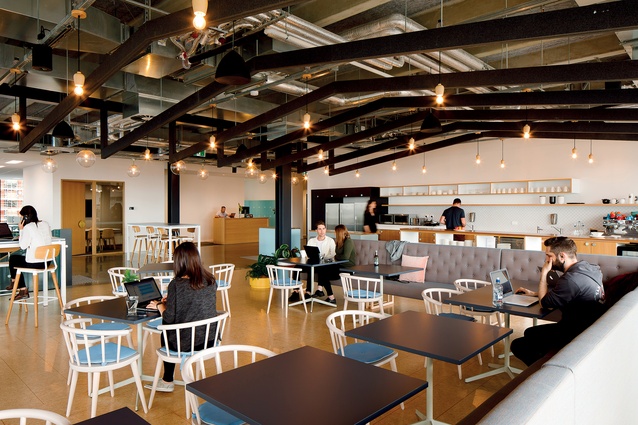 The Level 2 hub space at 12 Madden Street acts as the main staff kitchen and breakout space and doubles as an informal meeting and work space. A range of task chairs and casual, short-term work points allows users to move to suit the style of work they are doing.