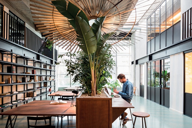 With a modest budget of under $500 per m2 the designers have created several flexible work and meeting areas with simple materials, plants, stained plywood and second-hand furniture.