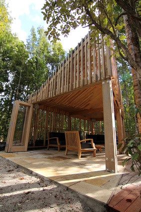 The asymmetric structure is a nod to the natural spatial arrangement of the tree canopy.