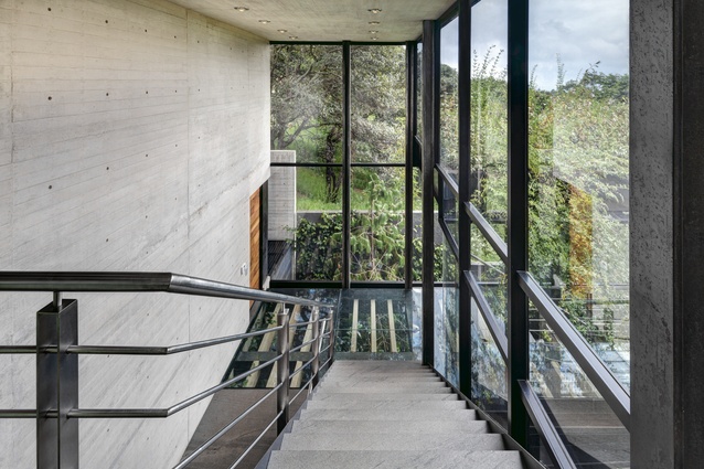 Glass-floored staircases and bridges give the impression of walking among the treetops, yet these structures do not interfere with the landscape.