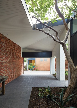 The studio courtyard (or emergency carport), containing space for a crepe myrtle tree, connects to the lively rear laneway.